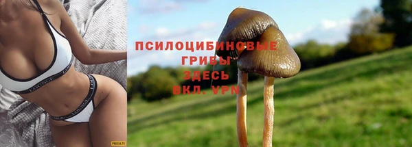 соль курить ск Алексин