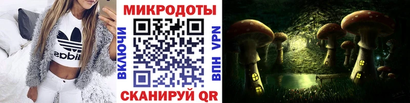 как найти   Бакал  Галлюциногенные грибы мухоморы 